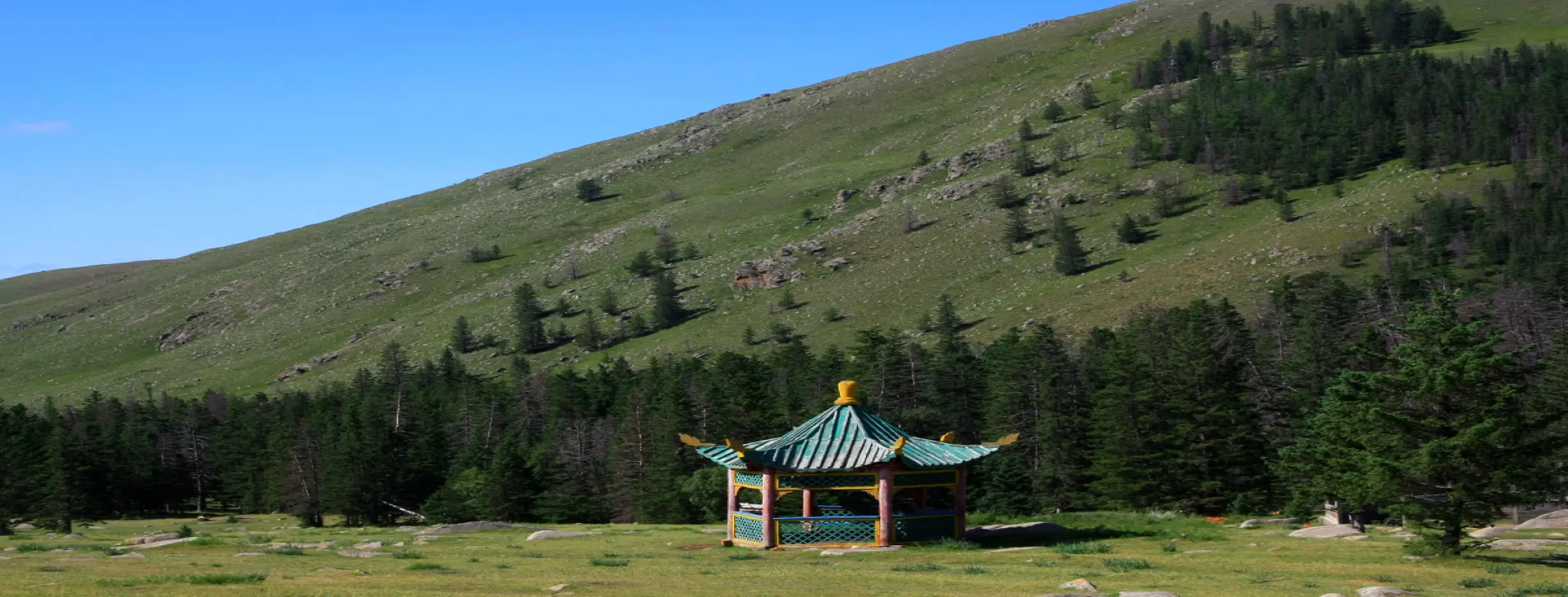 Image for Bogd Khan Uul National Park